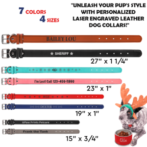 Personalized Laserable Leatherette Dog Collar Multi sizes